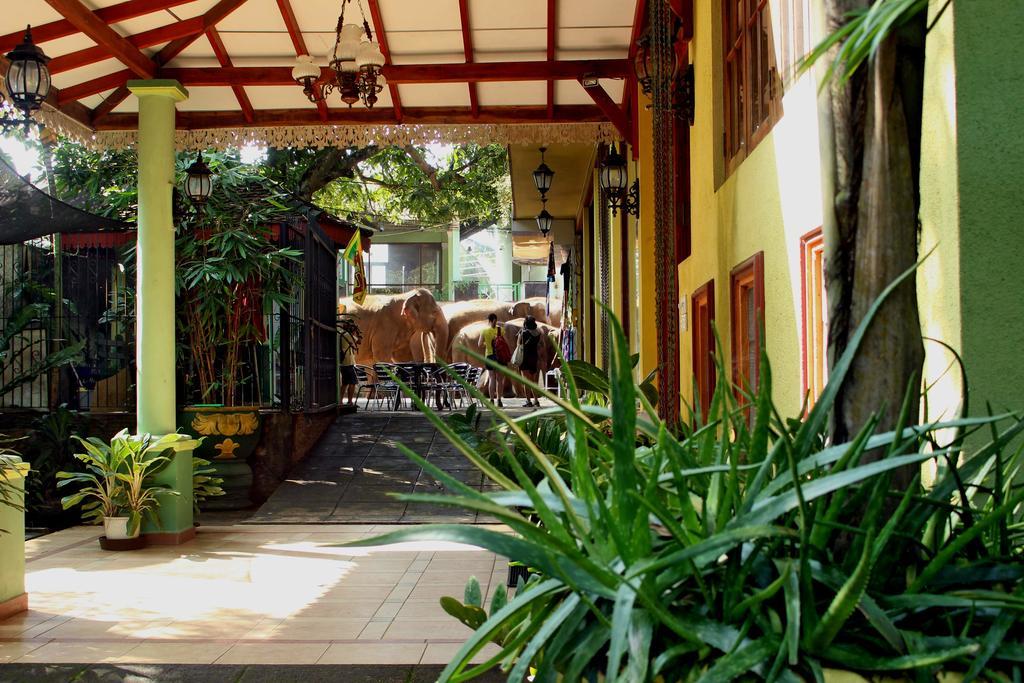 Green Land Guest House Pinnawala  Exterior foto